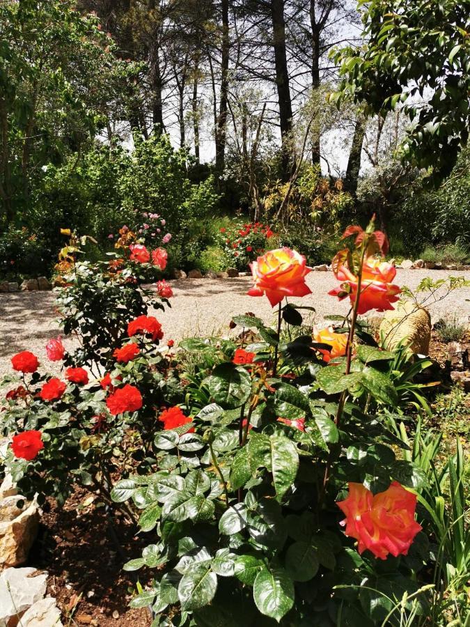 La Maison Du Soleil Provence 德拉吉尼昂 外观 照片