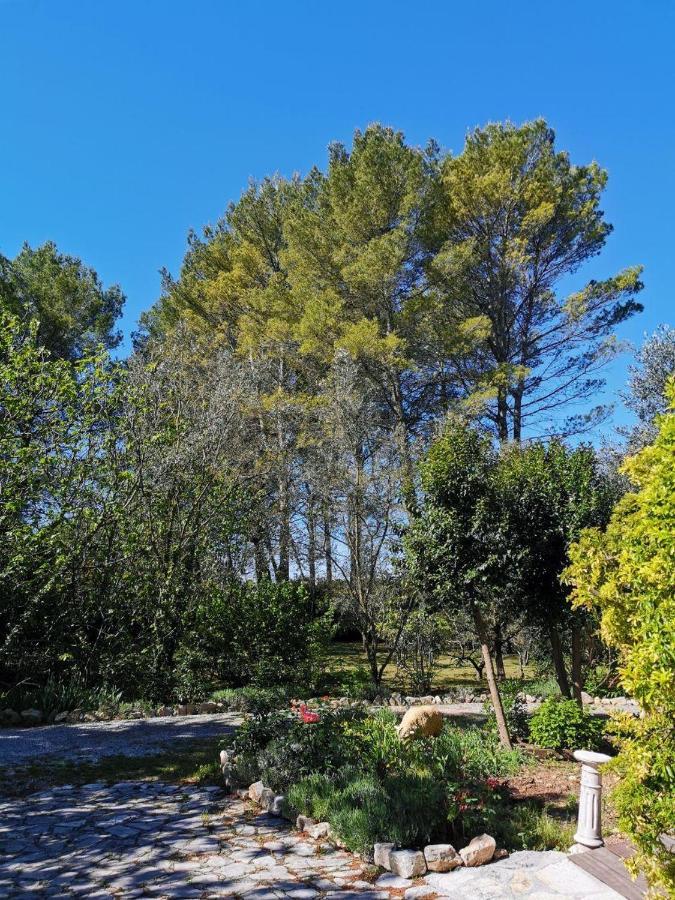 La Maison Du Soleil Provence 德拉吉尼昂 外观 照片