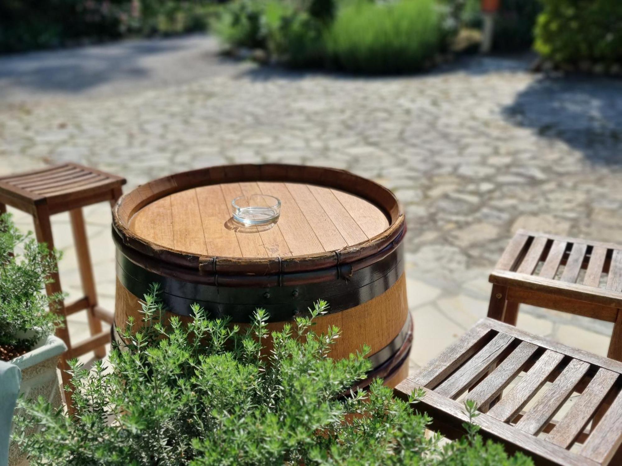 La Maison Du Soleil Provence 德拉吉尼昂 外观 照片