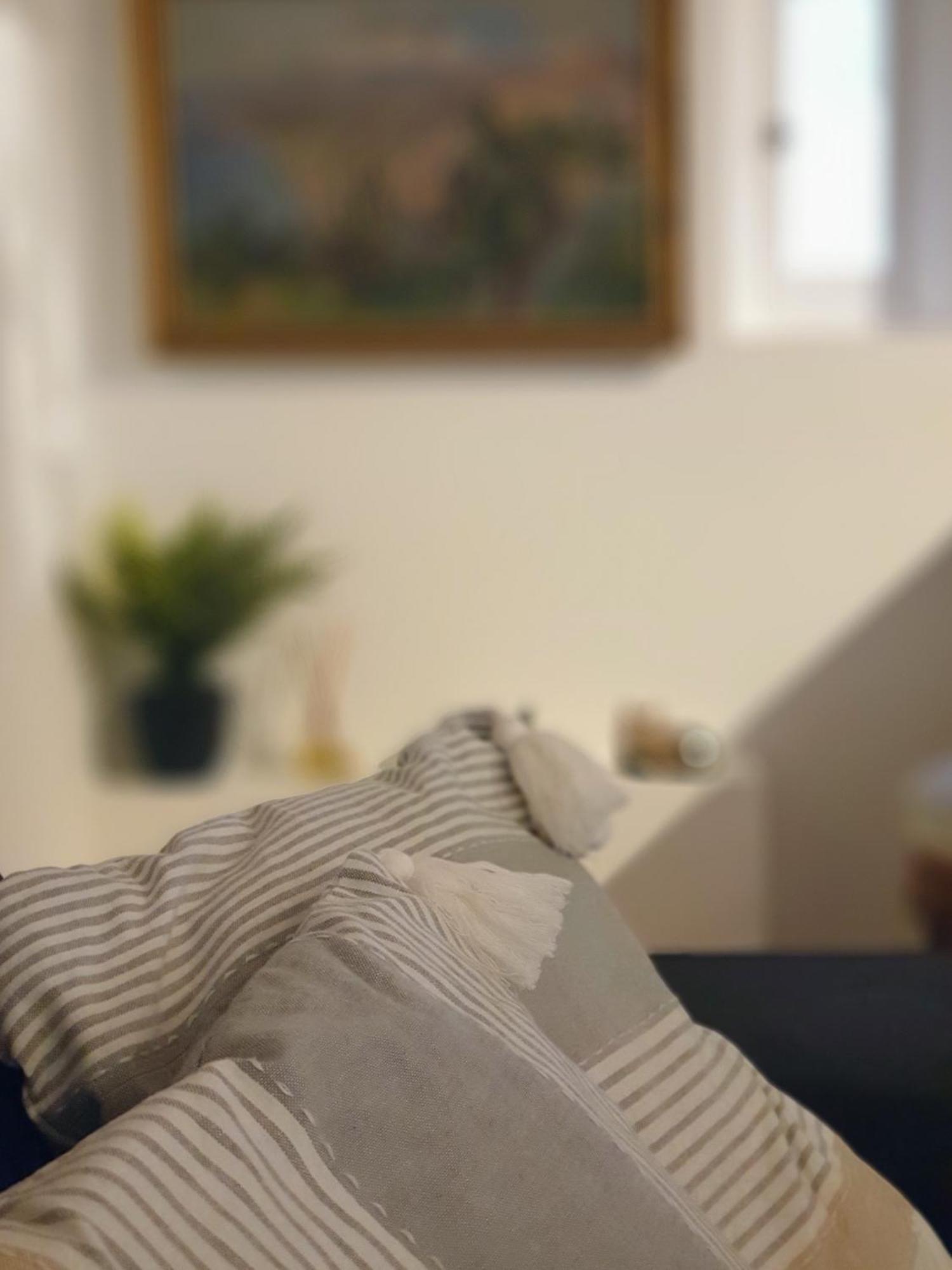La Maison Du Soleil Provence 德拉吉尼昂 外观 照片