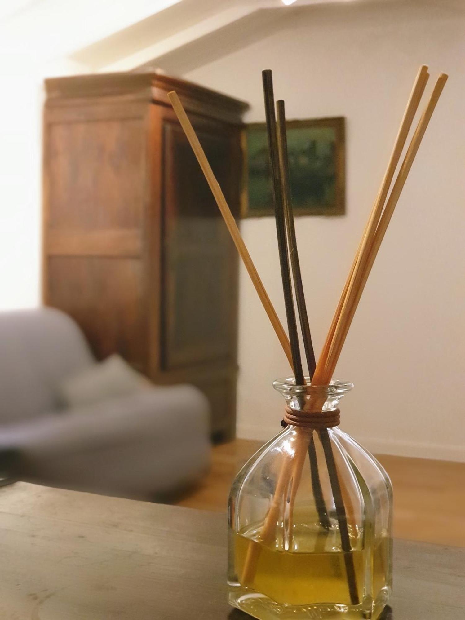La Maison Du Soleil Provence 德拉吉尼昂 外观 照片